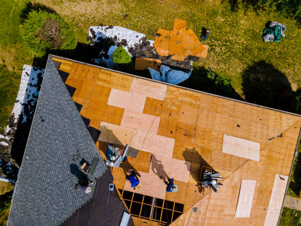 Best Roof Gutter Cleaning  in Red Lick, TX