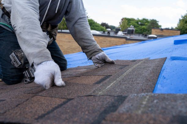 Best Roof Repair Services  in Red Lick, TX