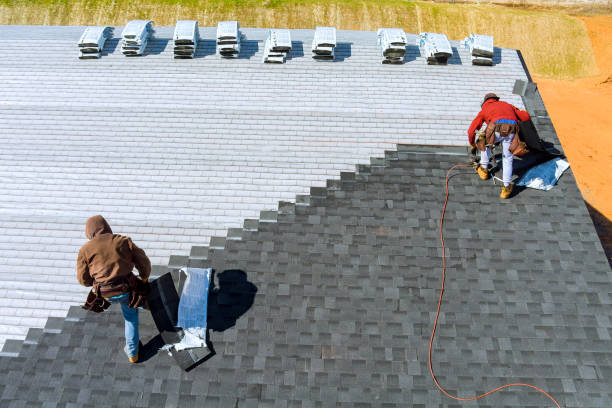 Best Metal Roofing Contractor  in Red Lick, TX