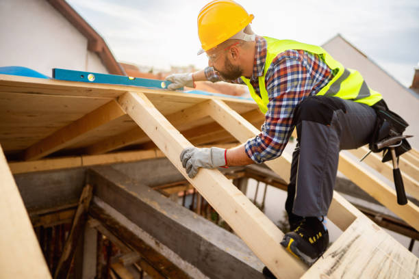 Roof Gutter Cleaning in Red Lick, TX